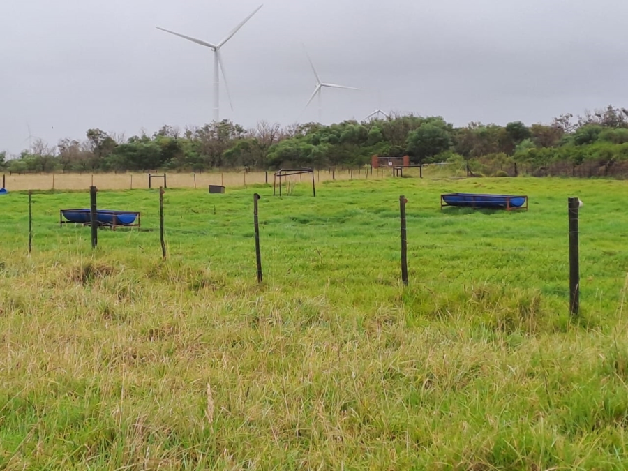 Commercial Property for Sale in St Francis Bay Rural Eastern Cape